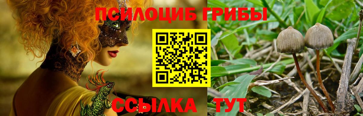 Псилоцибиновые грибы Magic Shrooms Бердск